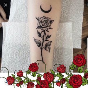 Meet your Posher, Nicky